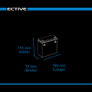 ECTIVE LC 20L BT 12V LiFePO4 Lithium Versorgungsbatterie 20 Ah