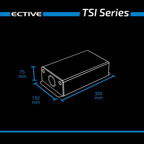 ECTIVE TSI 5 500W/12V Sinus-Wechselrichter mit NVS- und USV-Funktion (gebraucht, Zustand gut)