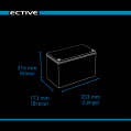 ECTIVE DC 115S AGM Deep Cycle mit LCD-Anzeige 115Ah Versorgungsbatterie (USt-befreit nach §12 Abs.3 Nr. 1 S.1 UStG)