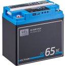 ECTIVE DC 65SC GEL Deep Cycle mit PWM-Ladegerät und...