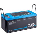 ECTIVE DC 230S GEL Deep Cycle mit LCD-Anzeige 230Ah...