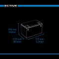 ECTIVE LC 120 Dual Versorgungsbatterie 120Ah 12V 1536Wh 1320A